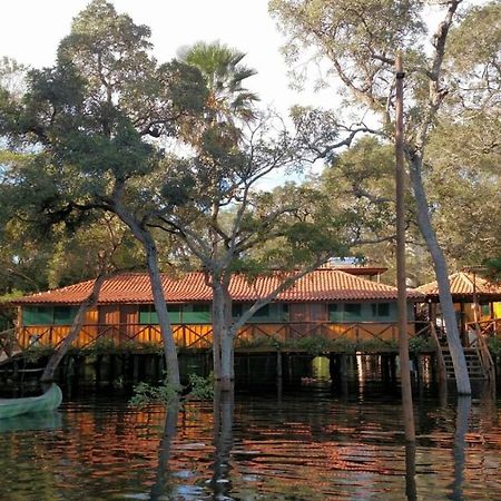 Pantanal Jungle Lodge Passo do Lontra 外观 照片