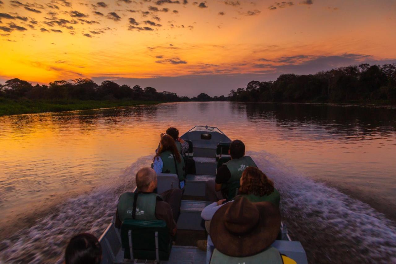 Pantanal Jungle Lodge Passo do Lontra 外观 照片