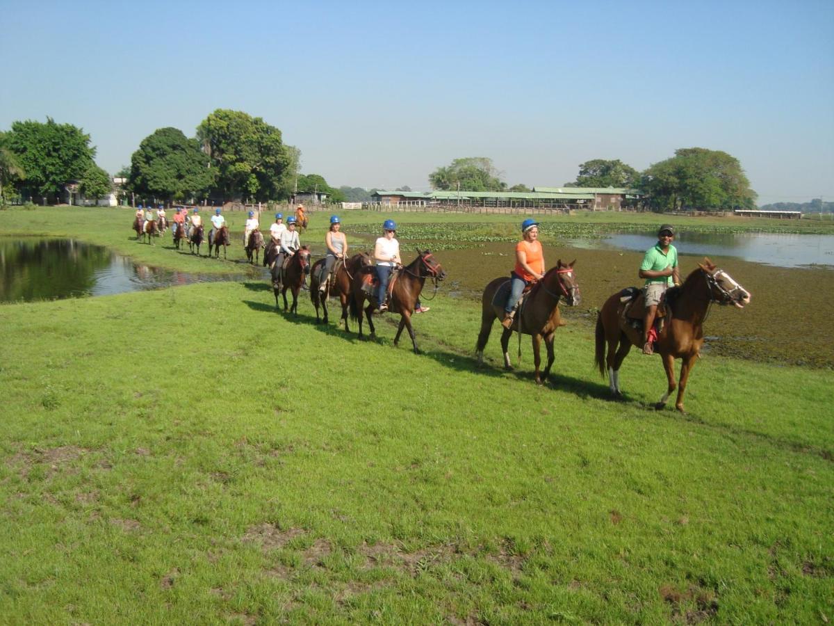 Pantanal Jungle Lodge Passo do Lontra 外观 照片
