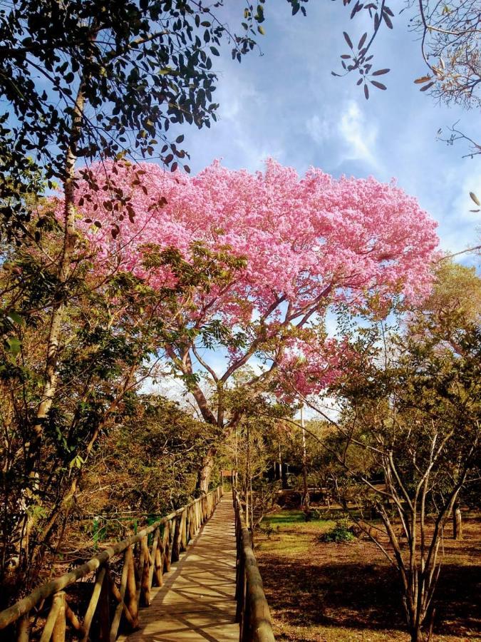 Pantanal Jungle Lodge Passo do Lontra 外观 照片